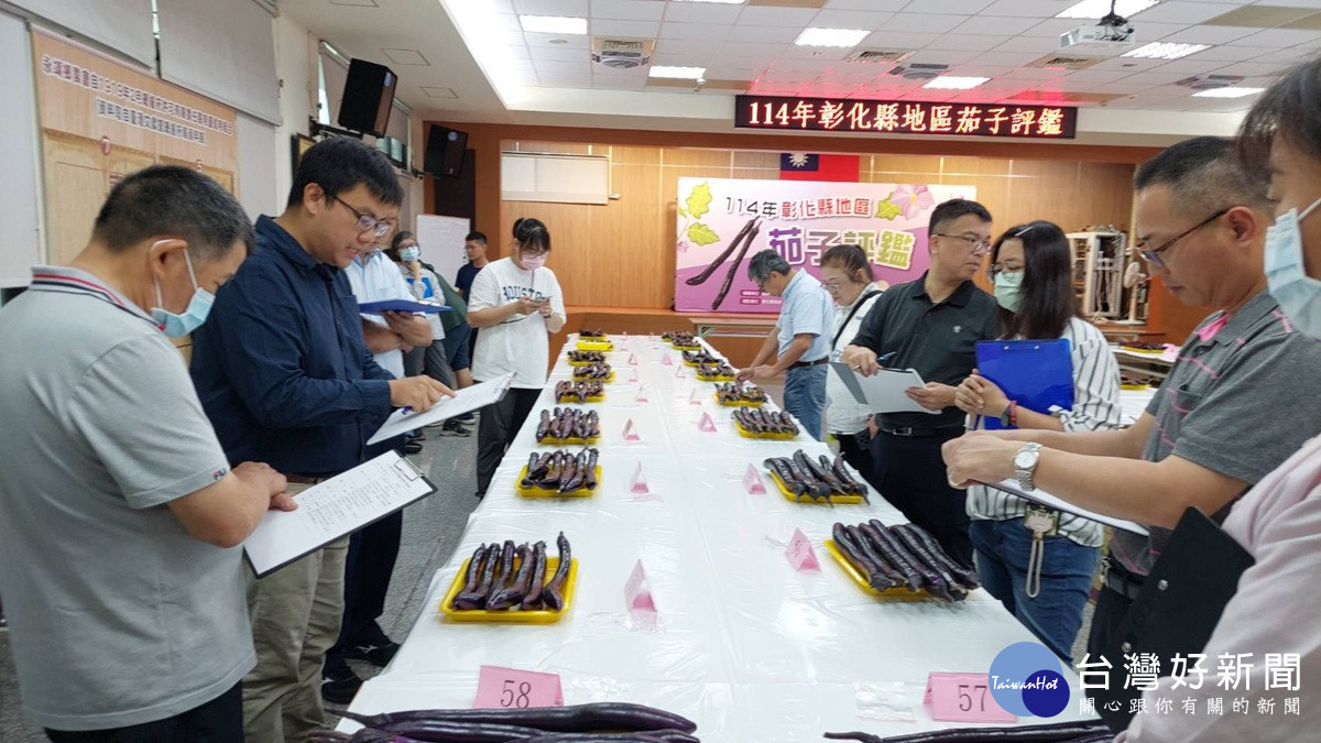 端午節掀茄子風潮   全國唯一彰化縣茄子評鑑競賽 永靖鄉農會登場