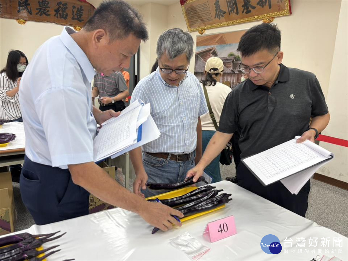 端午節掀茄子風潮，全國唯一評鑑登場。圖／彰化縣政府提供