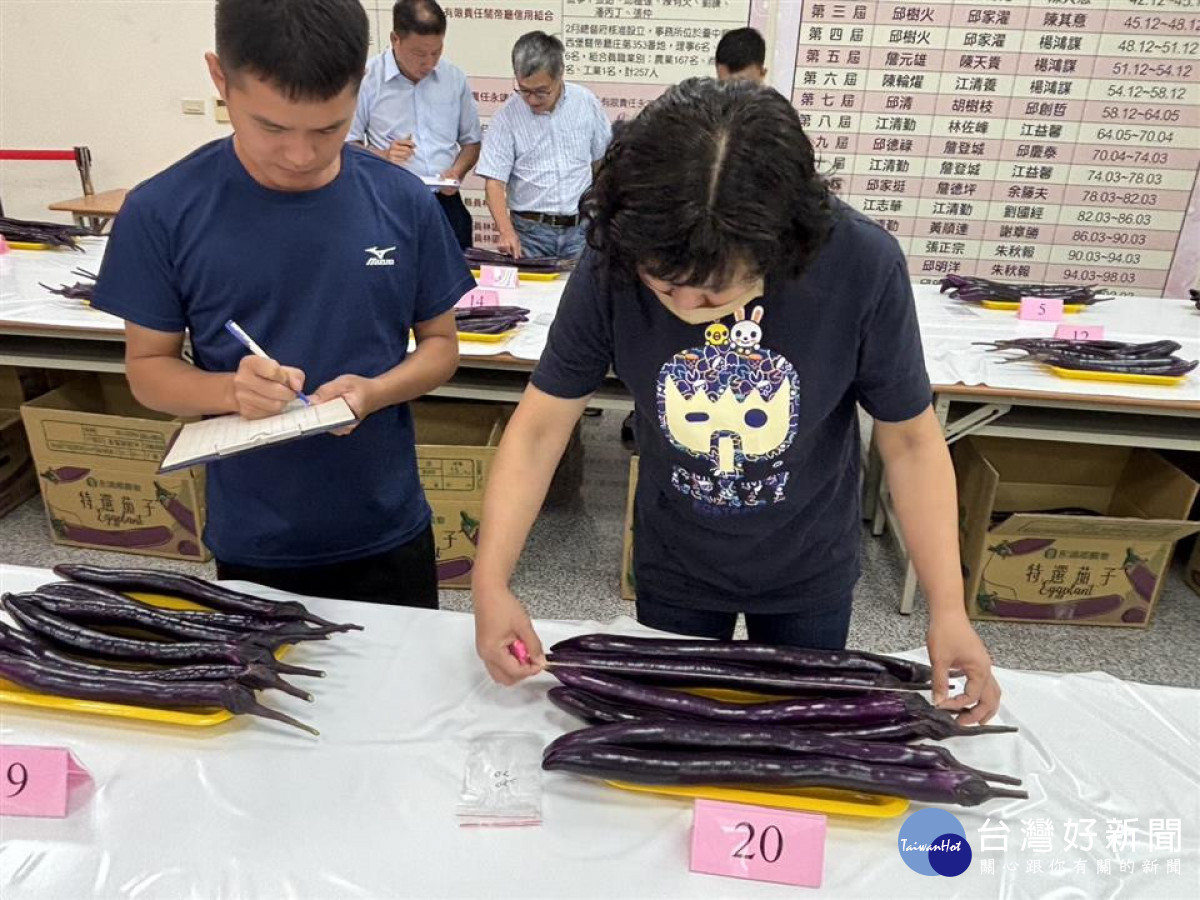 端午節掀茄子風潮，全國唯一評鑑登場。圖／彰化縣政府提供