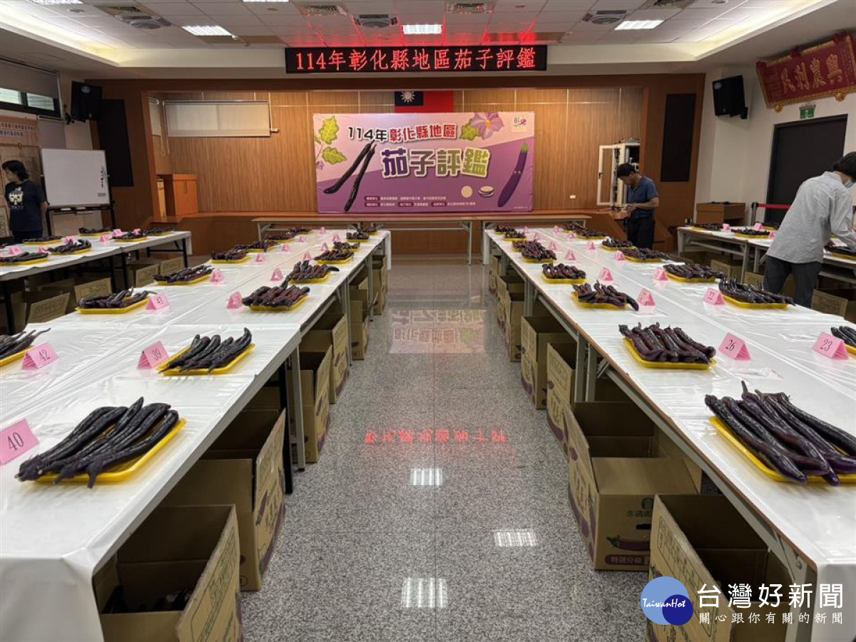 端午節掀茄子風潮，全國唯一評鑑登場。圖／彰化縣政府提供