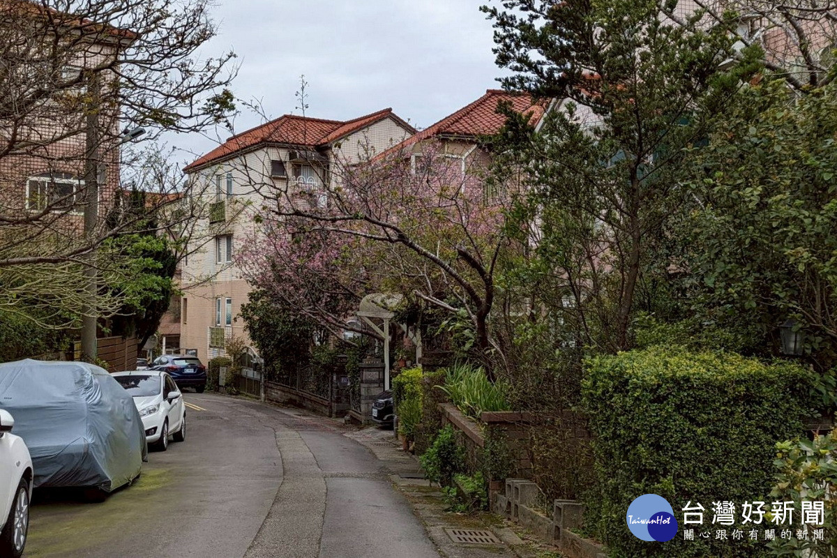 因應都市發展人口成長，桃園市115年將新增13個里。