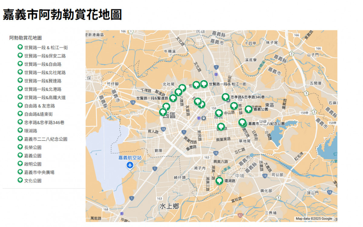 嘉義市政府分享阿勃勒賞花地圖／嘉義市府提供
