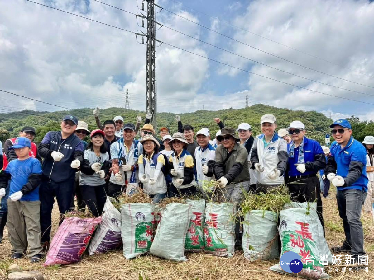 桃園市政府農業局提前啟動除蔓計畫，以每公斤8元收購小花蔓澤蘭。