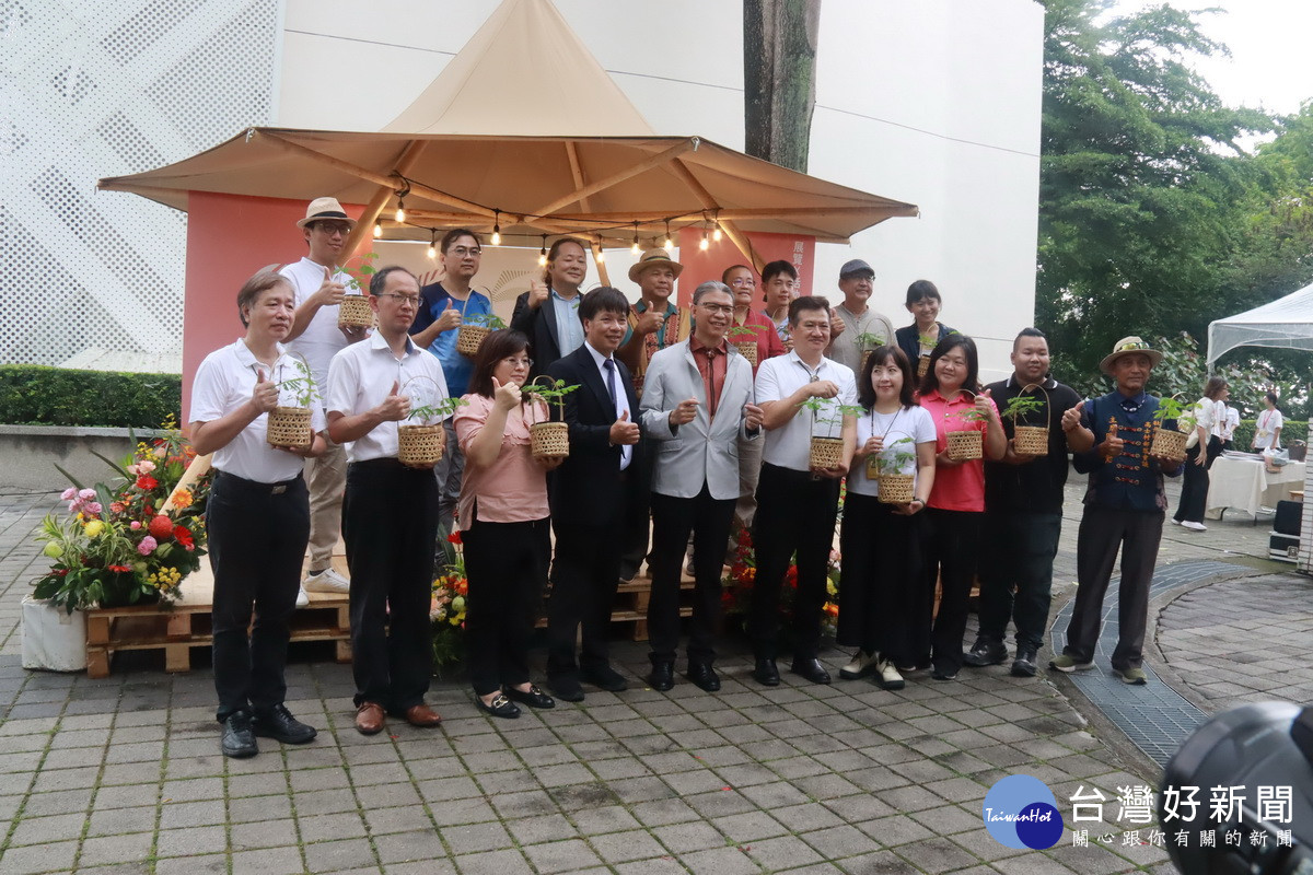 鳳凰老樹長出的新樹苗將送往各分館森生不息。（記者扶小萍攝）