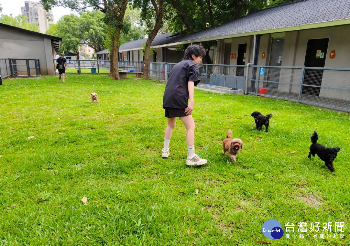 桃園首創多項全方位動物福祉，動保聲量好感度獲六都第一。