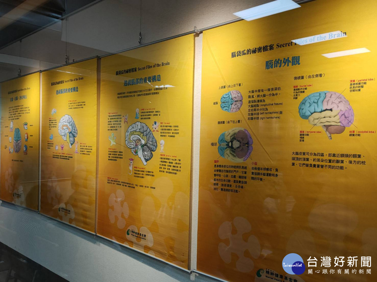 財團法人精神健康基金會彰化精神健康學苑與彰化市公所聯合舉辦腦科學教育巡迴展開幕。圖／記者鄧富珍攝