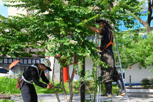 桃園市環保局已啟動超前部署，全面執行防汛整備工作。
