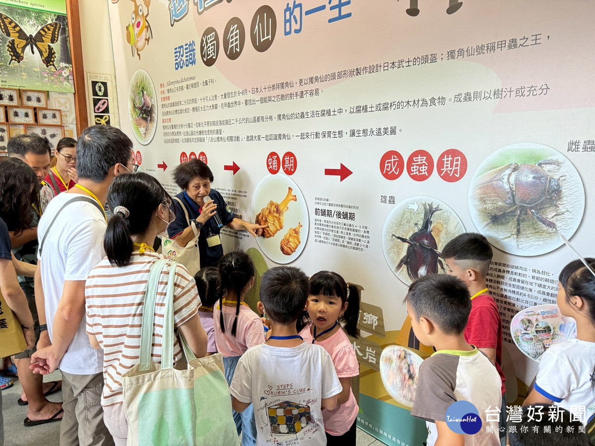 2025卦山尋仙趣   清水岩周邊獨角仙大量現蹤