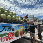 花蓮縣大西瓜跨越中央山脈到南投家樂福開賣。（記者扶小萍攝）