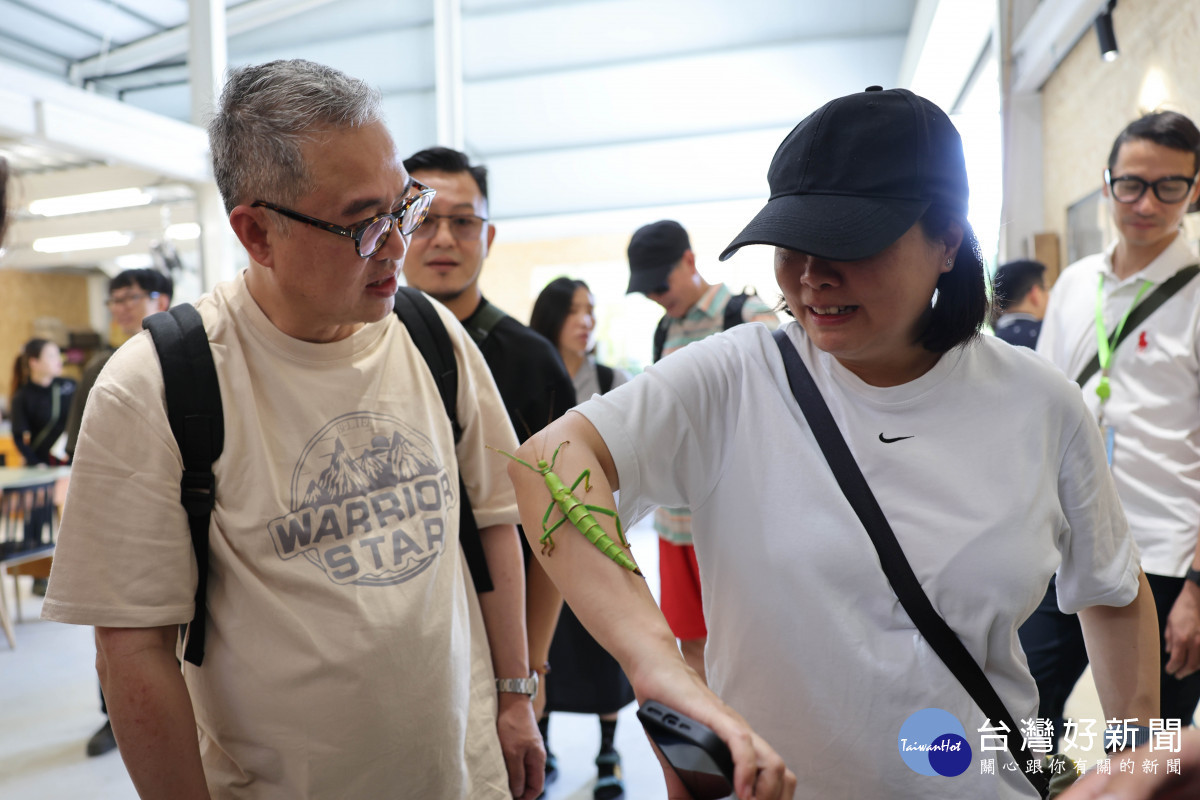 香港踩線團親觸竹節蟲，進行生態沈浸式體驗。