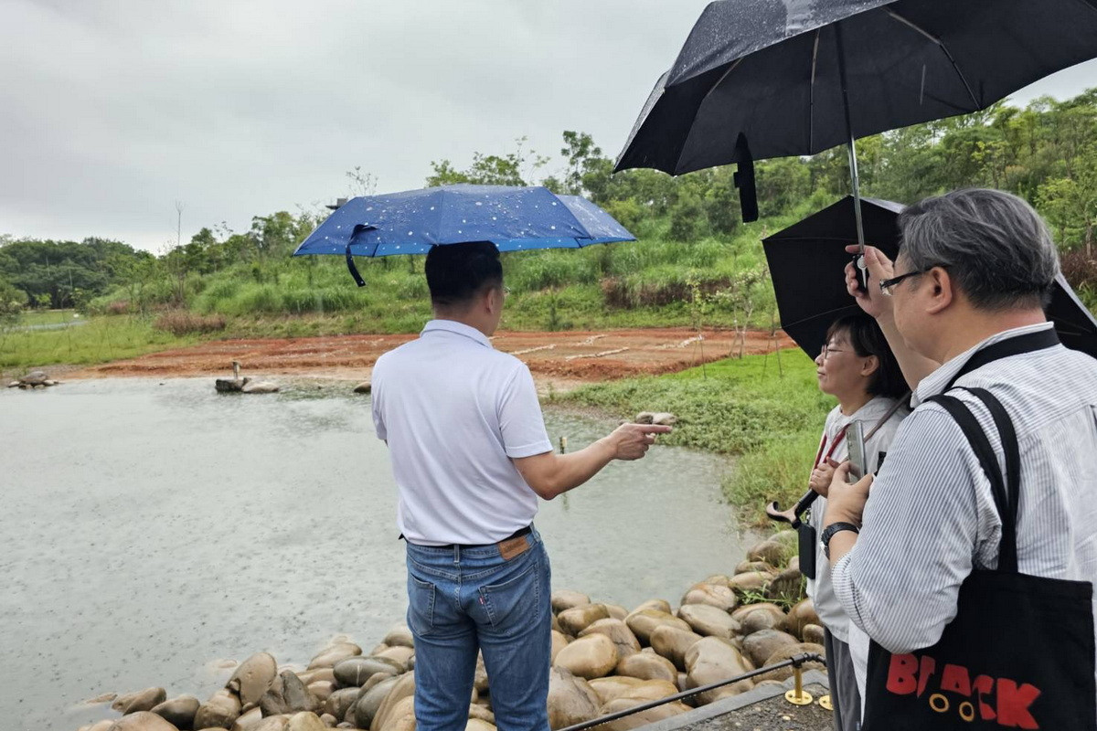 桃園市副市長蘇俊賓多次前往大湳森林公園觀察翠鳥活動。