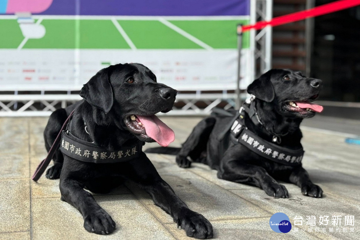 提升公務犬健康福祉與執勤效能，桃市首推「警犬與消防犬健康照護計畫」。