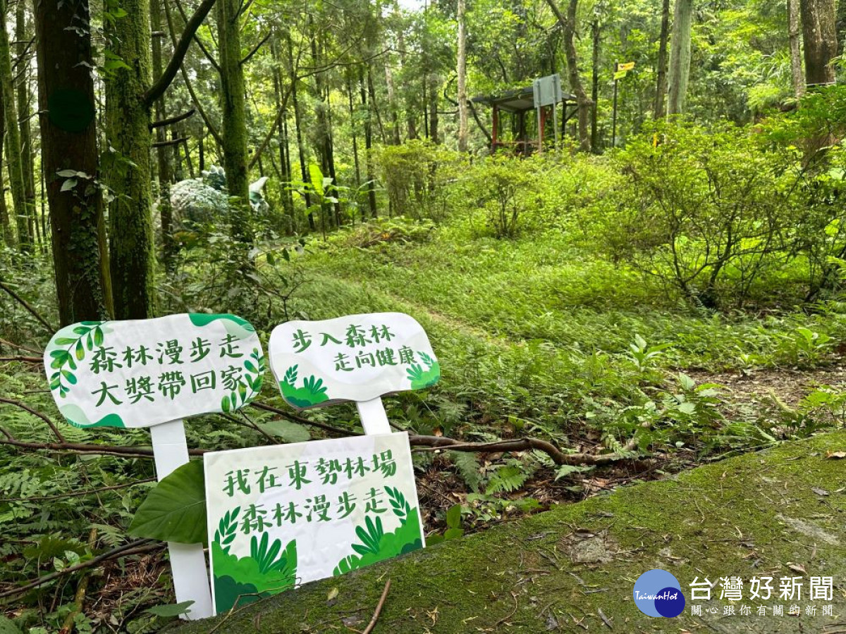 東勢林場暑假「森林漫步走」健走，集章可參加抽獎，另外還有門票、住宿及用餐優惠。(圖/地方中心)