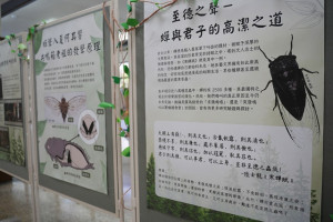 興大昆蟲展。林重鎣