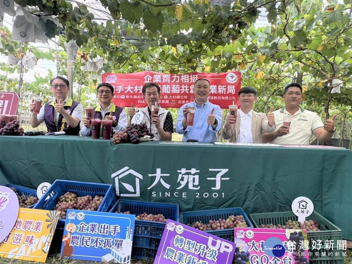氣候異常影響巨峰葡萄果實大小不一  知名企業攜手相挺大村巨峰葡萄