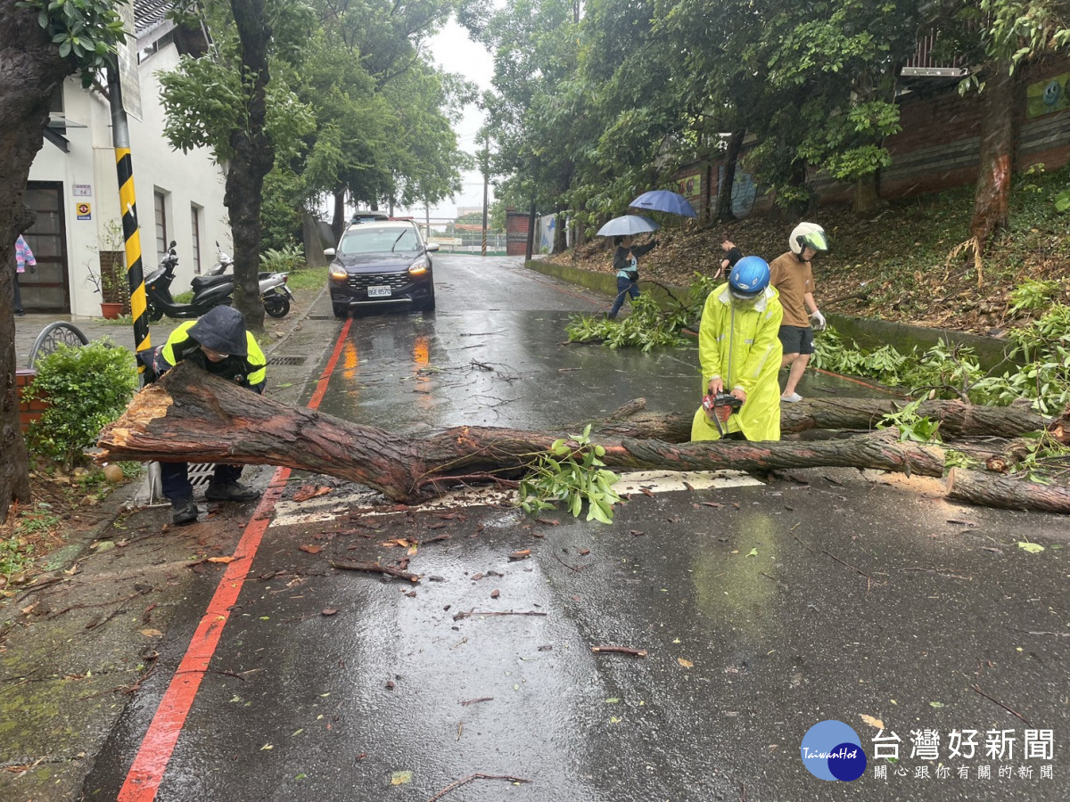 颱風天路樹倒塌，楊梅警冒雨協助排除。