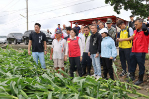 雲林縣長張麗善與立委丁學忠、張嘉郡，聯同農糧署中區分署長陳尚仁、台南區農業改良場雲林分場長黃瑞彰前往勘災／翻攝照片