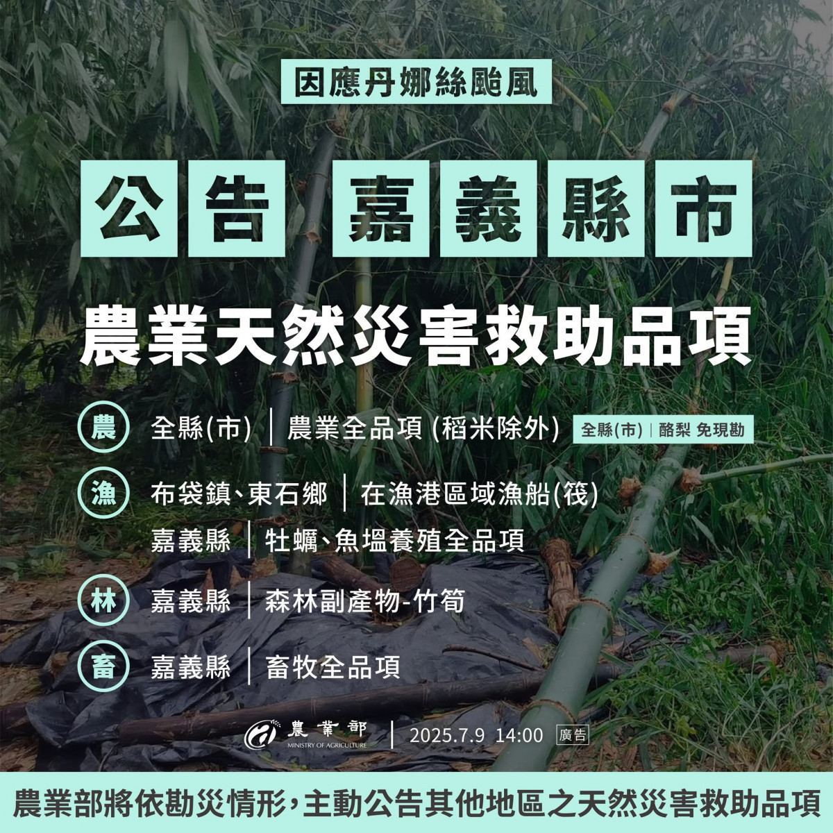 嘉義縣7月22日前受理申請丹娜絲颱風漁業災損現金救助及低利貸款／嘉義縣府提供