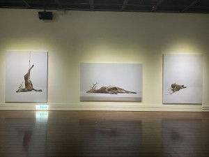 臺東美術館特展《你見過的風景我走過》閉展倒數　請把握最後觀展機會