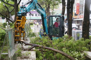 嘉義市府繼7月10日搶通全市主、次要幹道後，進入綠化帶傾倒樹木去化作業，預計7月16日將完成全面去化／嘉義市府提供