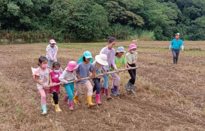 新竹縣臺灣耕牛文化協會推出「牛耕小旅行」體驗農村生活，享受探索大自然。