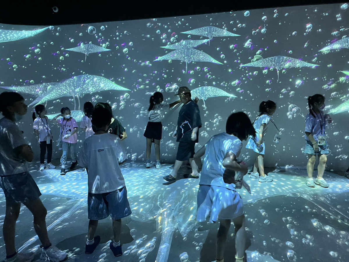 灣島文化館內沉浸式體驗海底世界。（半山夢工廠提供）<br />

