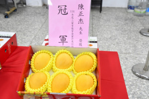 埔心農會推廣三蜜香金蜜芒果評鑑，農民陳正杰奪冠。圖／彰化縣政府提供