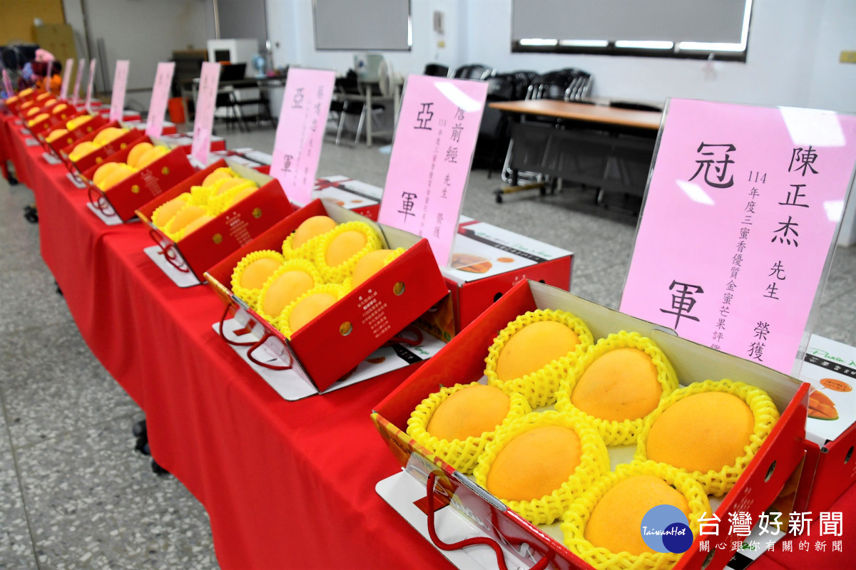 埔心農會推廣三蜜香金蜜芒果評鑑，農民陳正杰奪冠。圖／彰化縣政府提供