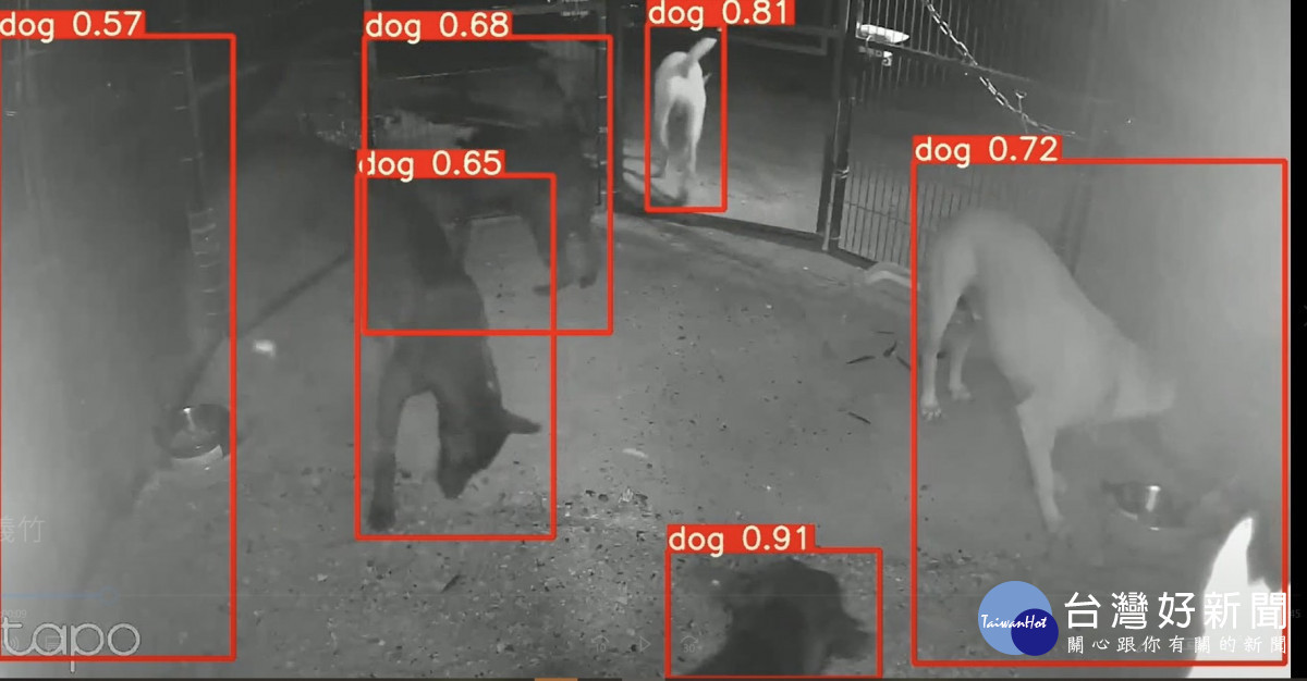 嘉義縣府升級智慧捕犬系統，在義竹鄉光電熱區試辦一周即捕捉超過八成流浪犬／嘉義縣府提供
