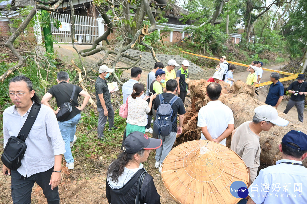 台、日樹木專家勘察嘉義公園倒塌樹木／陳致愷攝影