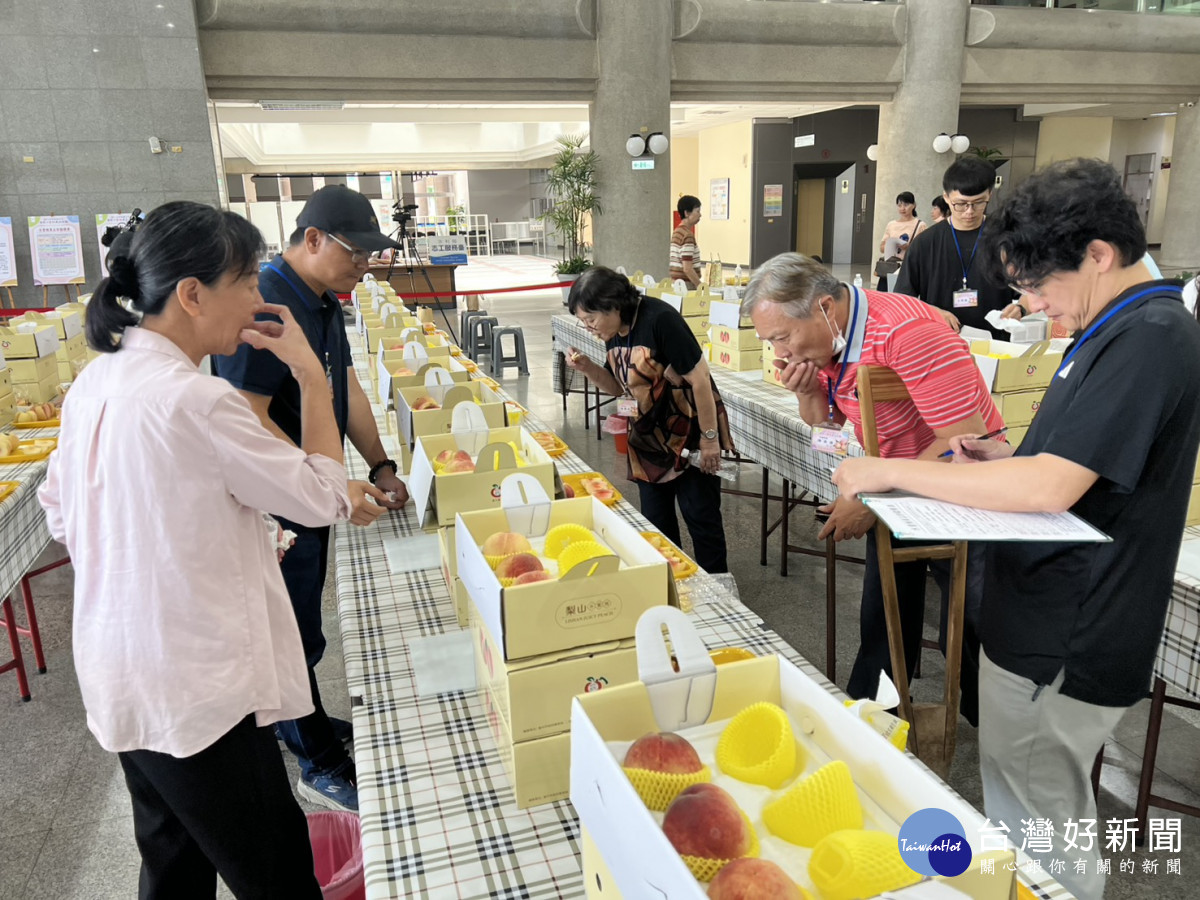 評審就水蜜桃口感及風味進行評分。