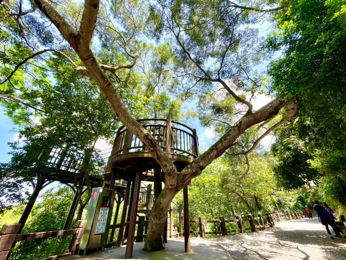 與樹木融合的雙層休憩平台供眺景