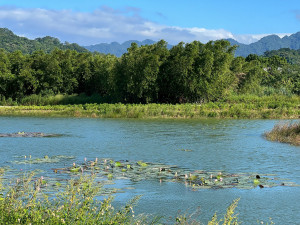 大漢溪上游埔頂排水水環境改善計畫獲「2025國家卓越建設獎」。