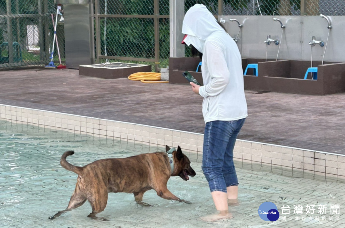 毛孩水樂園開張 ， 全台首座公立寵物戲水池 8/1啟用。