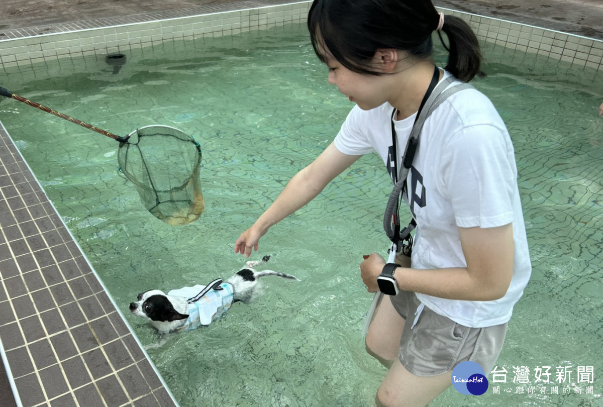 毛孩水樂園開張 ， 全台首座公立寵物戲水池 8/1啟用。