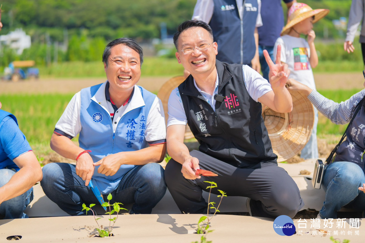 桃園市副市長蘇俊賓出席食農教育推廣活動，和與會來賓們一同體驗鋪設紙膜及種植仙草。<br />

