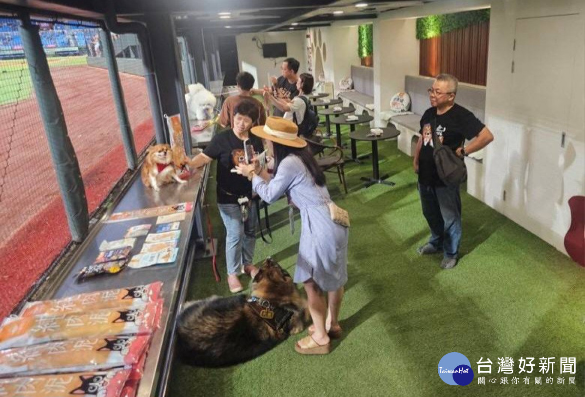 桃園市政府動保處打造全台首創「棒球場寵物樂園」。