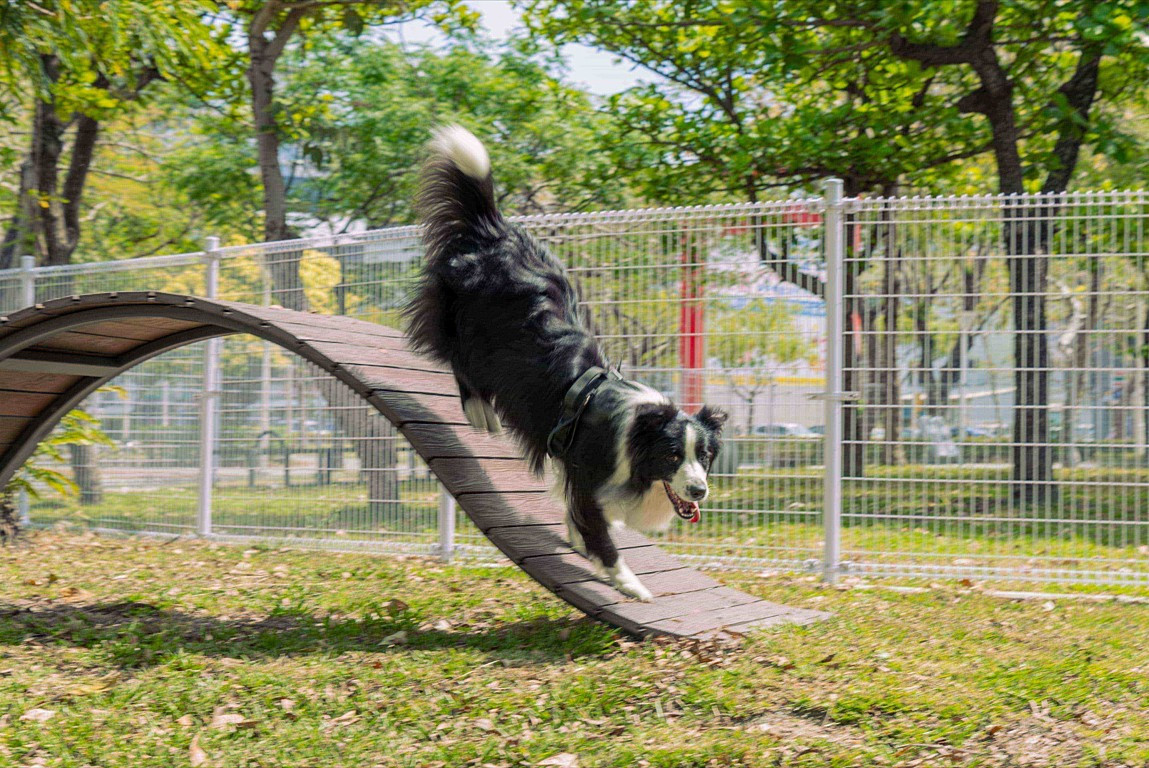 （圖／高雄市府工務局公園處岡山維護工程隊）