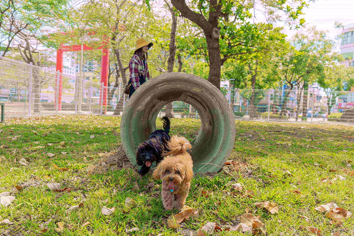 （圖／高雄市府工務局公園處岡山維護工程隊）