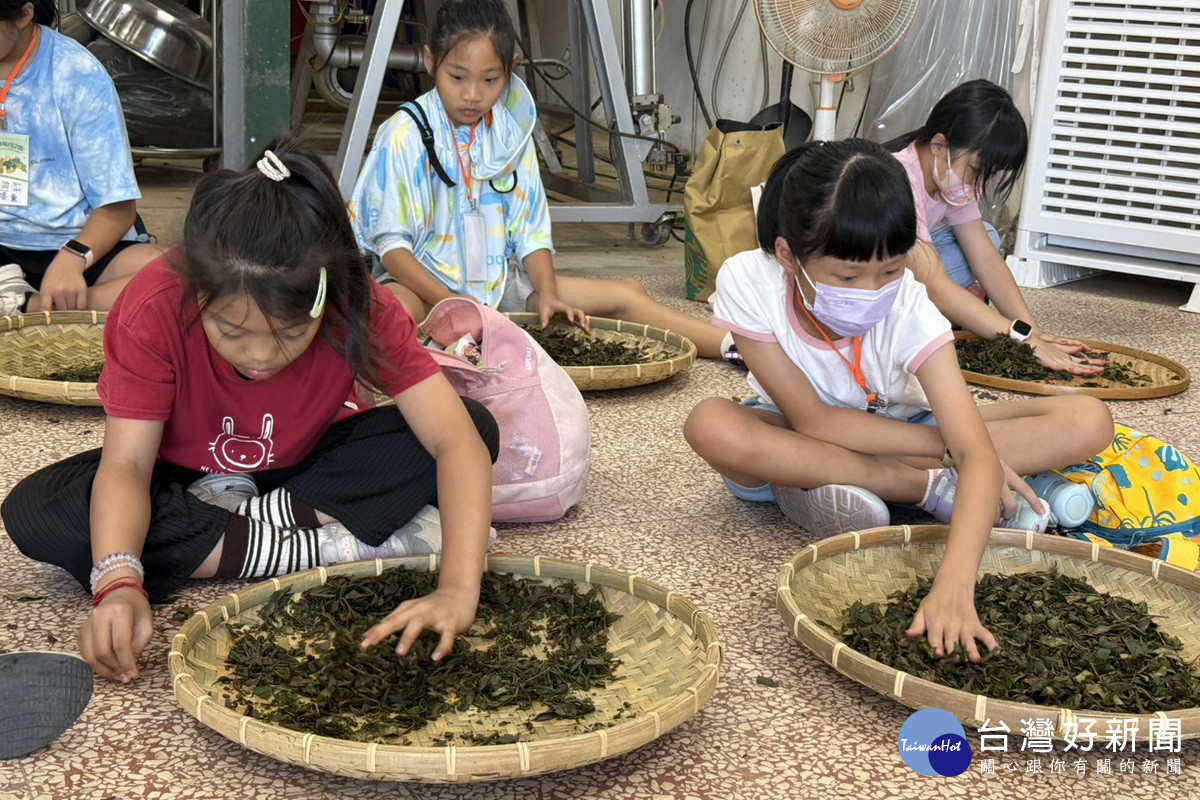 桃園市政府農業局推動自然教育，舉辦「植感桃園夏令營」。<br />
