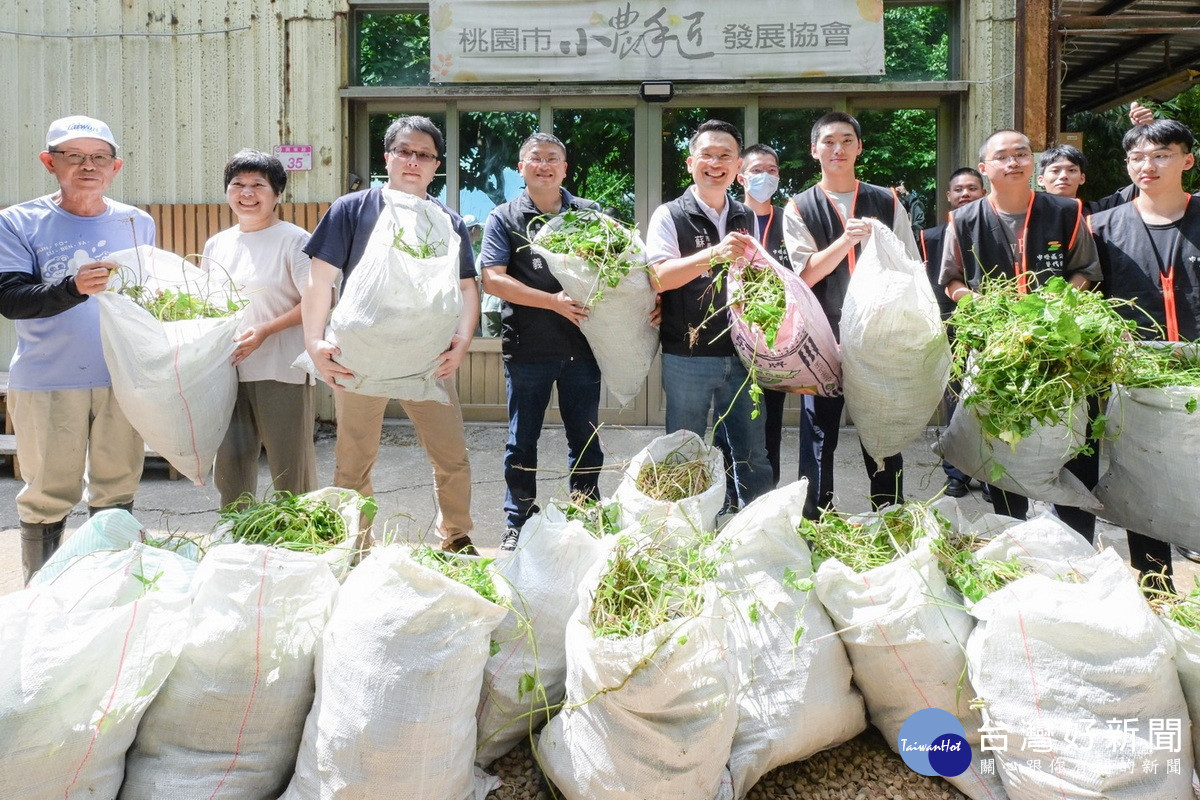 桃園市副市長蘇俊賓與大家一起除蔓，共清出十多袋藤蔓約180公斤。<br />
