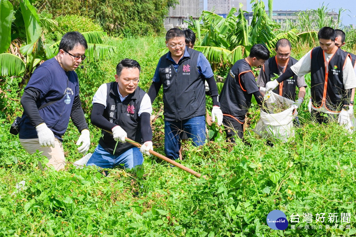 桃園市副市長蘇俊賓出席「小花蔓澤蘭外來種清除宣導活動」與大家一起手除蔓。<br />

