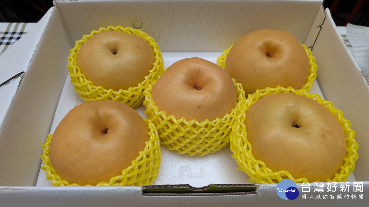 參賽得獎果品