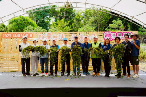 桃園市政府農業局在大溪月眉休閒農業區第二停車場舉辦「除蔓樂活、永續森活」小花蔓澤蘭移除活動。
