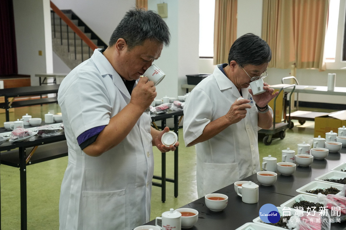 農業部茶及飲料作物改良場副場長邱垂豐(右)與助理研究員羅士凱進行評鑑。