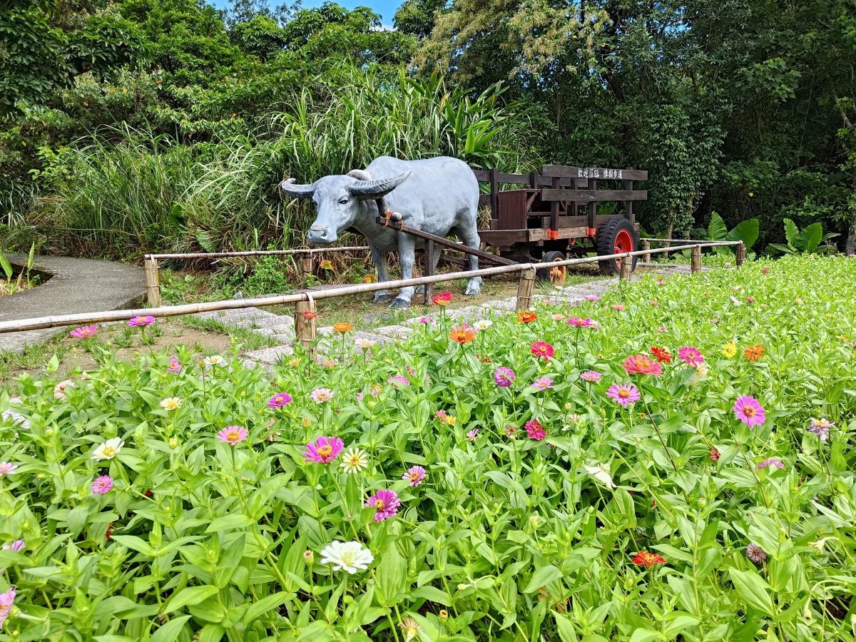 牛車花景（圖／北市大地處提供）