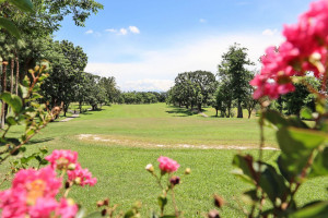 （圖／高雄市府公園處綜合企劃科）