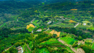 桃園市政府農業局邀您走進龍潭淺山客庄，感受茶香與艾草香交織的療癒氛圍。