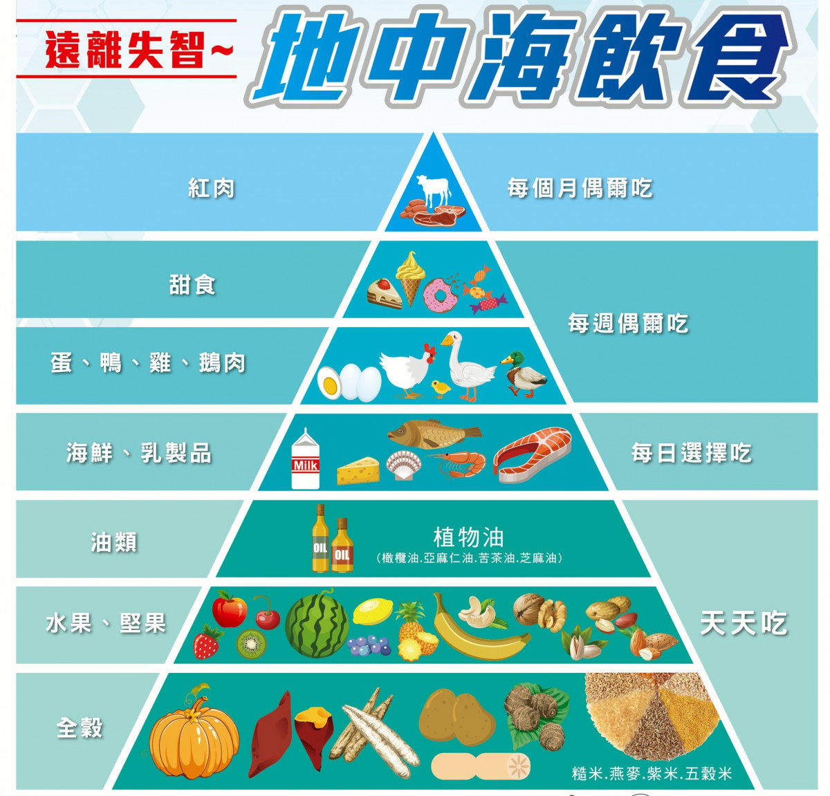 腦內無聲風暴        阿茲海默症早篩早治守護腦健康