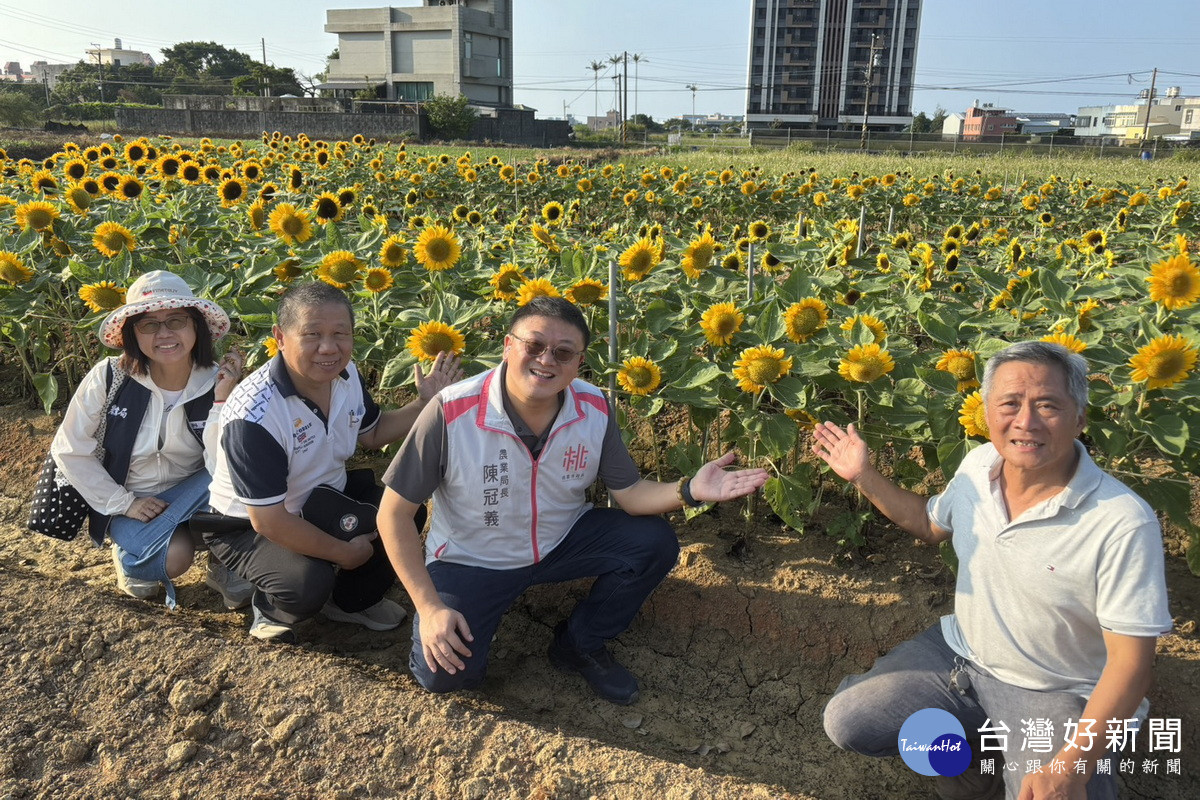 園慶雙十玩創意，巨型「國旗花布」溪海休區限定登場。